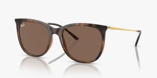 culos de Sol Ray Ban RB4403L 668873 - Havana-escuro